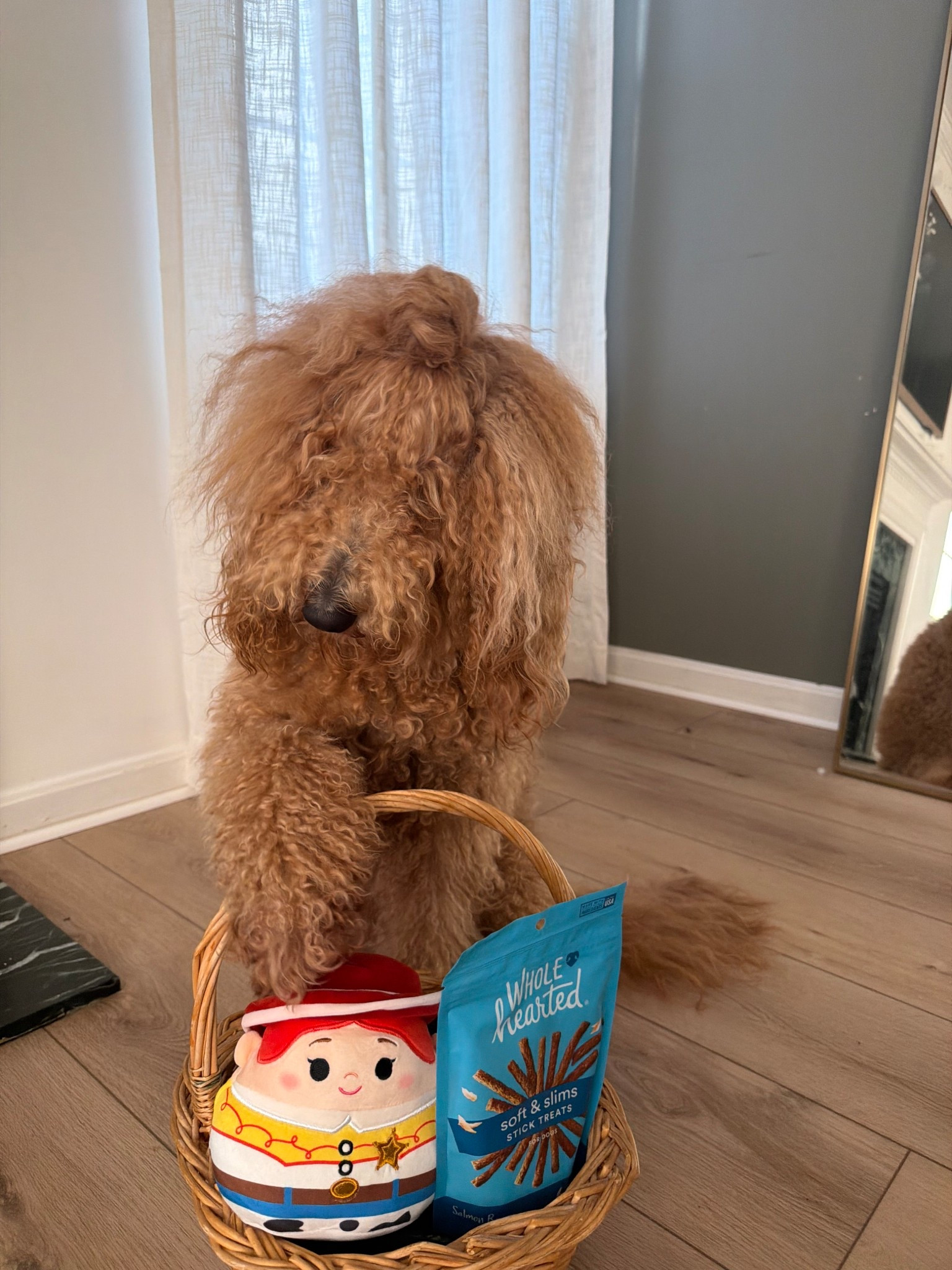 Dog treats and toys on Amazon! 

#LTKvlog #LTKU #LTKmomlife