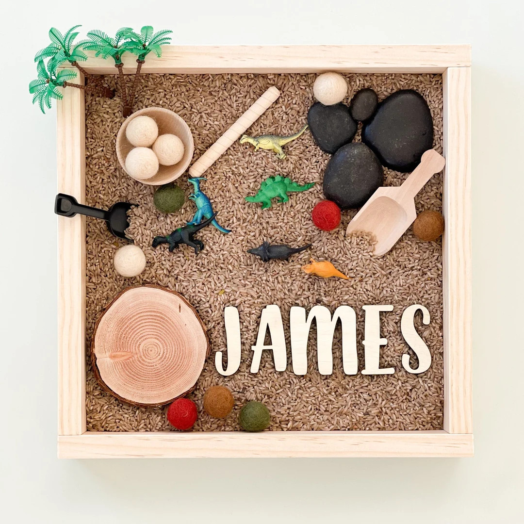 Personalized Dinosaur Sensory Kit: Montessori Play With Rice Tray - Etsy | Etsy (US)
