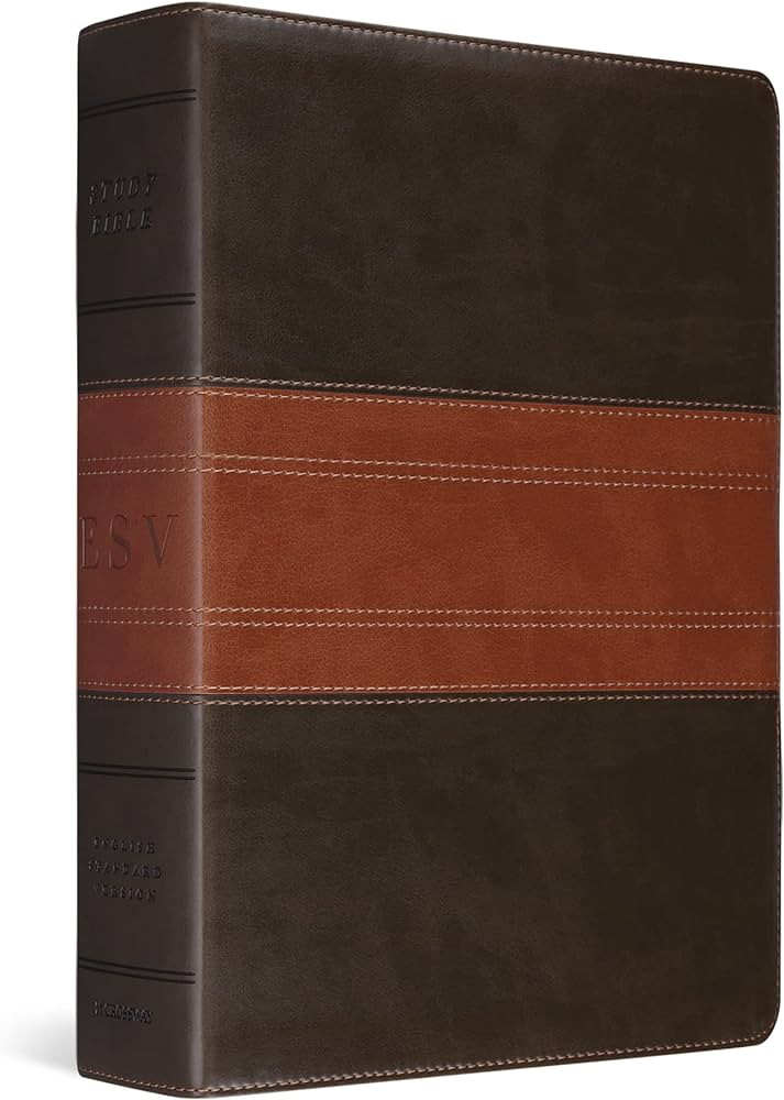 ESV Study Bible, Large Print (TruTone, Forest/Tan, Trail Design) | Amazon (US)