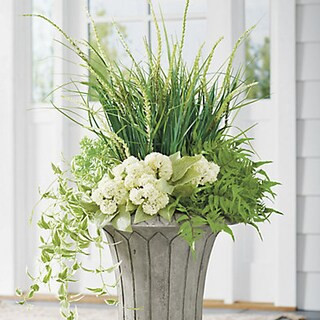 Growing Greens Urn Filler | Grandin Road | Grandin Road