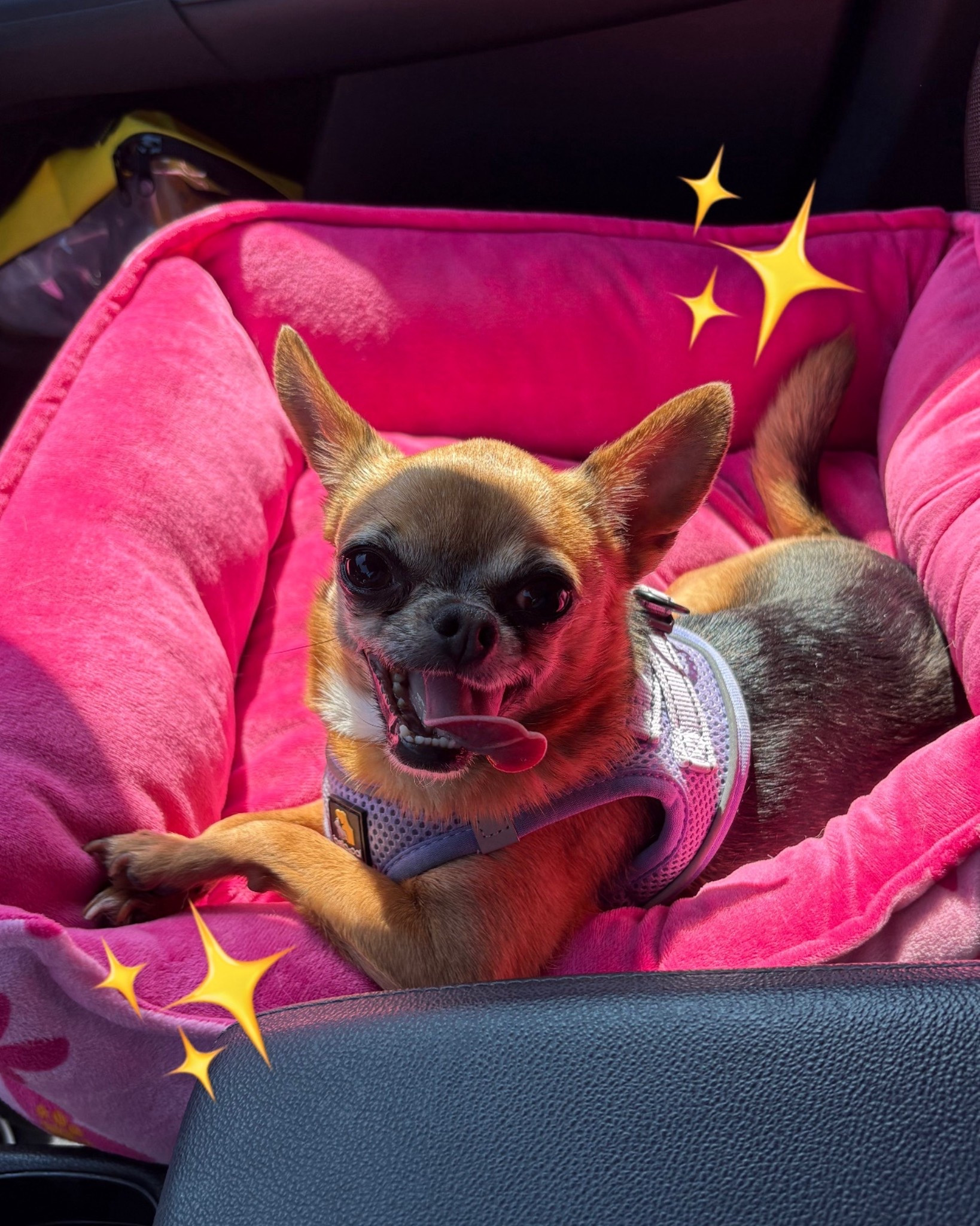 #LTKFamily #LTKTravel #LTKHome