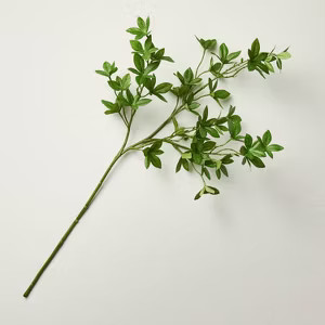 25" Faux Black Olive Leaf Branch - Hearth & Hand™ with Magnolia | Target