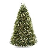 National Tree Company Dunhill Fir Artificial Tree, 9 Ft, Dual Colored Lights | Amazon (US)