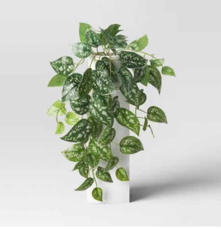 This artificial plant from Target looks so real! Love it! 

#LTKhome