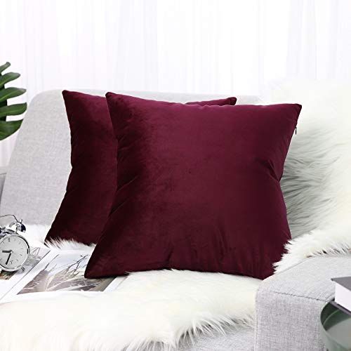 Lewondr Velvet Soft Throw Pillow Cover, 2 Pack Modern Solid Color Square Decorative Throw Pillow Cas | Amazon (US)