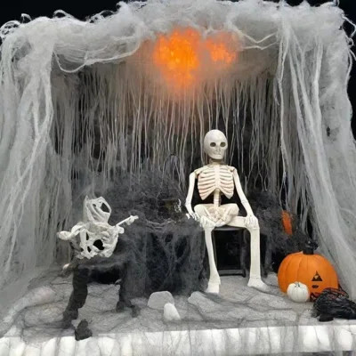 300 Sqft Web+20 Pcs Spider And 2 Pack 5 Ft. Large Spiders Realistic Hairy Halloween Decor Halloween Decorations Outdoor Large Stretch Spider Web Cobwe | Wayfair North America