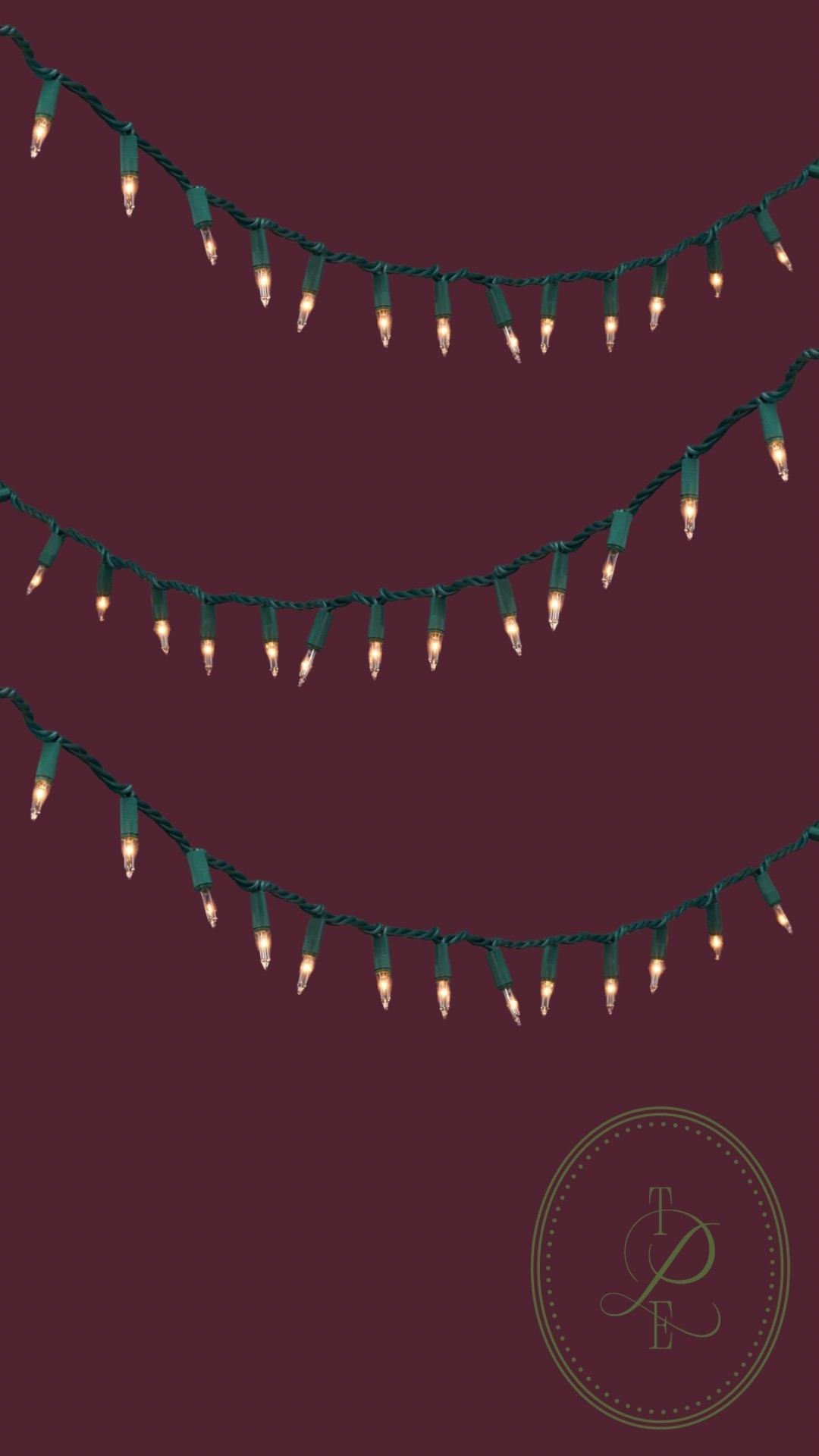 The BEST Christmas lights! Not LED so just a warm classic light ✨