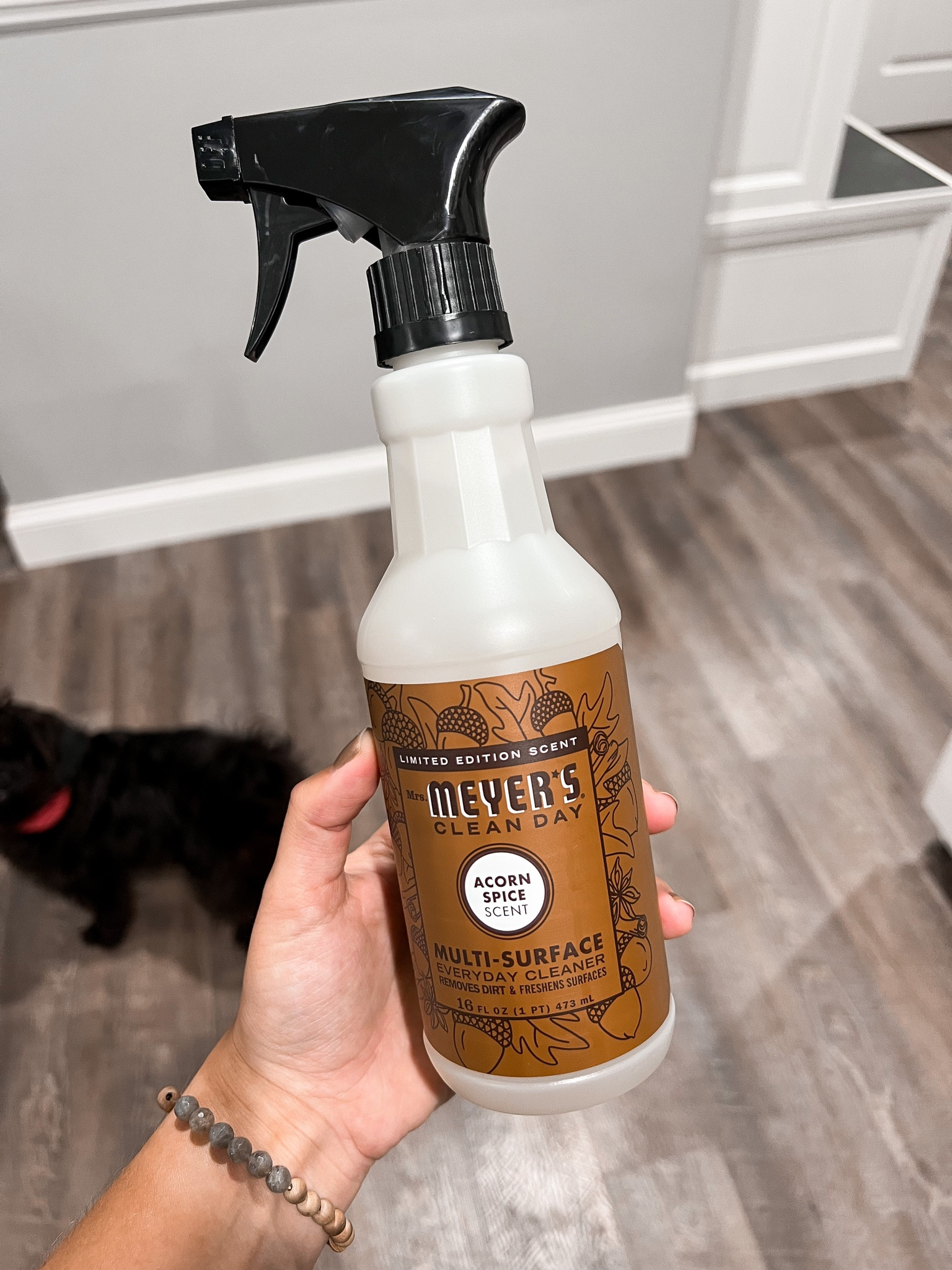 Why didn’t I try this sooner?!?! Fall home / home products / Meyers products / cleaning products #liketkit

#LTKunder50 #LTKhome #LTKSeasonal