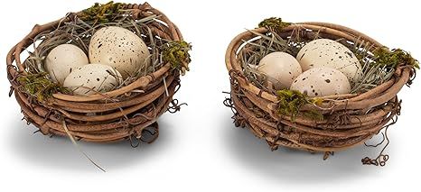 RAZ Imports Faux Bird's Nests with Speckled Eggs, Decorative Easter Accent, Spring Decoration, Bo... | Amazon (US)