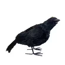 10" Black Crow Standing Left by Ashland® | Michaels Stores