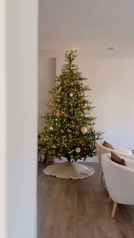 Christmas tree decor 2023


#LTKhome #LTKHoliday #LTKSeasonal