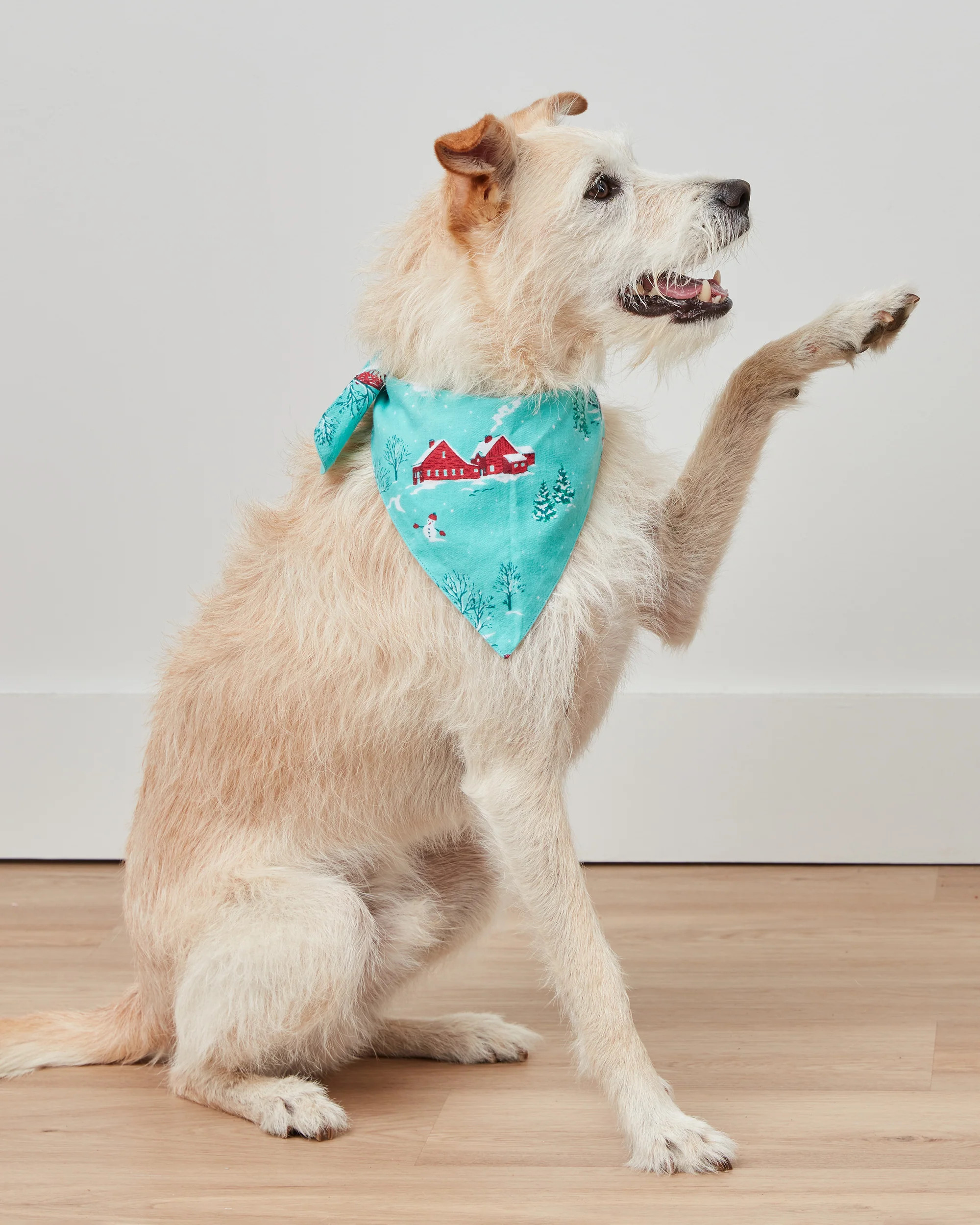 Winter Wonderland - Flannel Pet Bandana - Snow Day | Printfresh