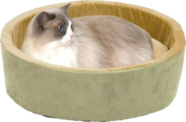 K&H Pet Products Thermo-Kitty Bed Indoor Heated Cat Bed, Sage/Tan, Small | Chewy.com