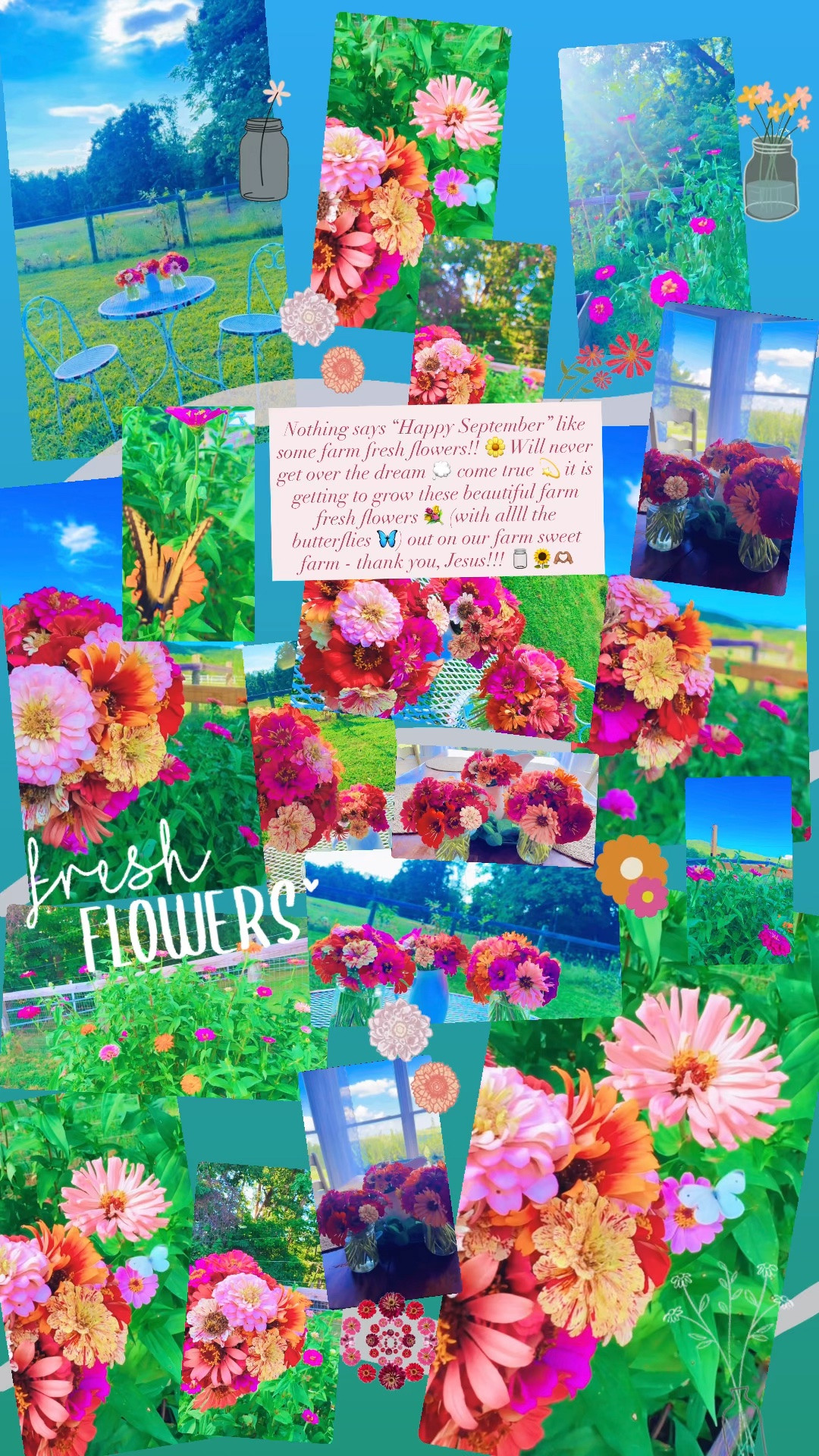 Nothing says “Happy September” like some farm fresh flowers!! 🌼 Will never get over the dream 💭 come true 💫 it is getting to grow these beautiful farm fresh flowers 💐 (with allll the butterflies 🦋) out on our farm sweet farm - thank you, Jesus!!! 🫙🌻🫶🏽