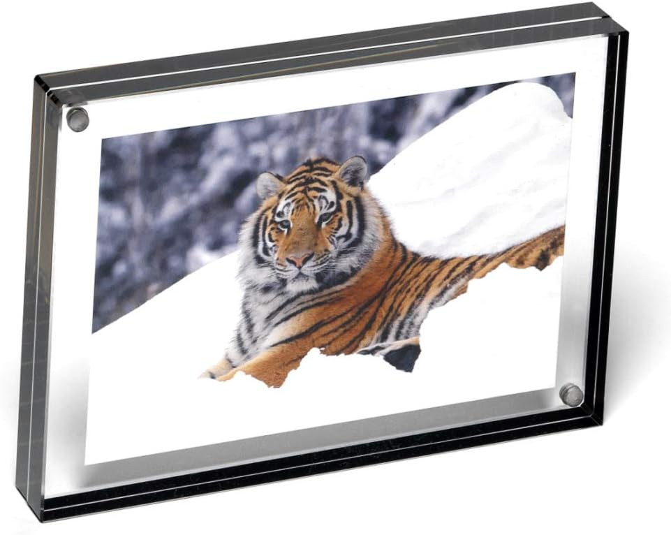 Color Edge Magnet Frame by Canetti-Graphite-4x6 inch | Amazon (US)