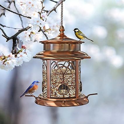 Amazon.com : Solar Bird Feeder for Outdoors Hanging | Waterproof Wild Bird Feeder for Outside | W... | Amazon (US)