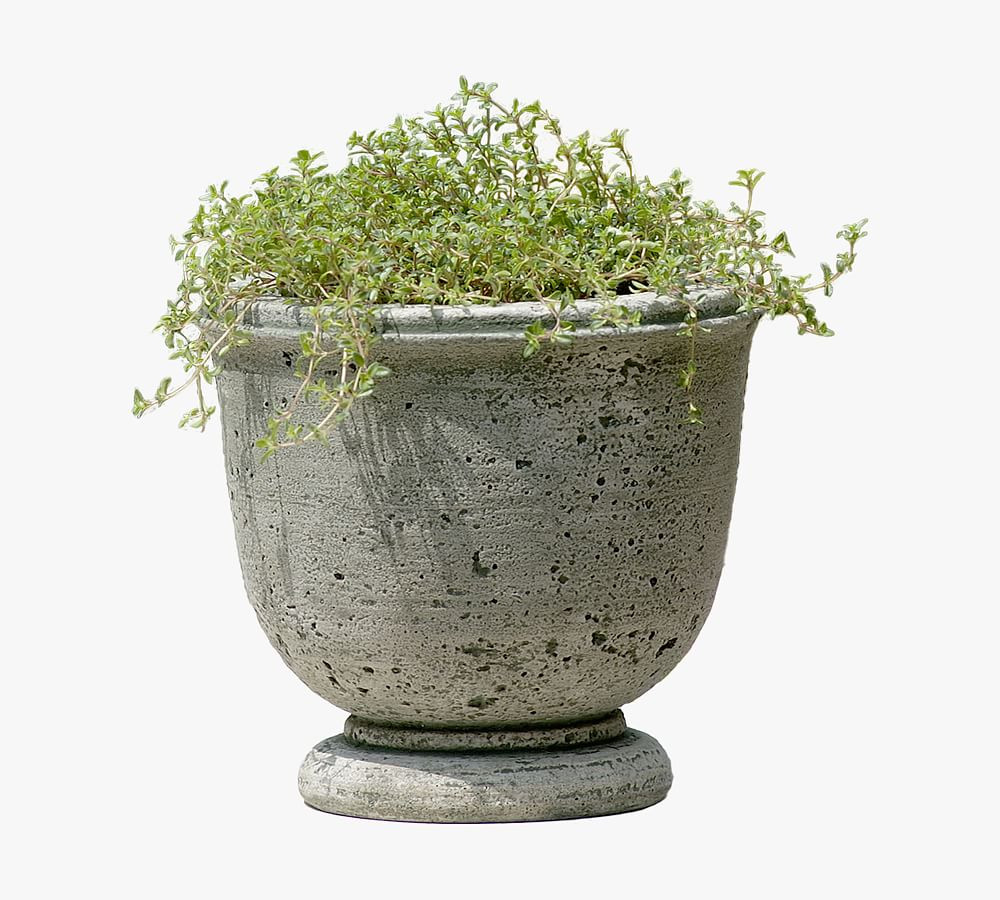 Louisa Cast Stone Planter | Pottery Barn (US)