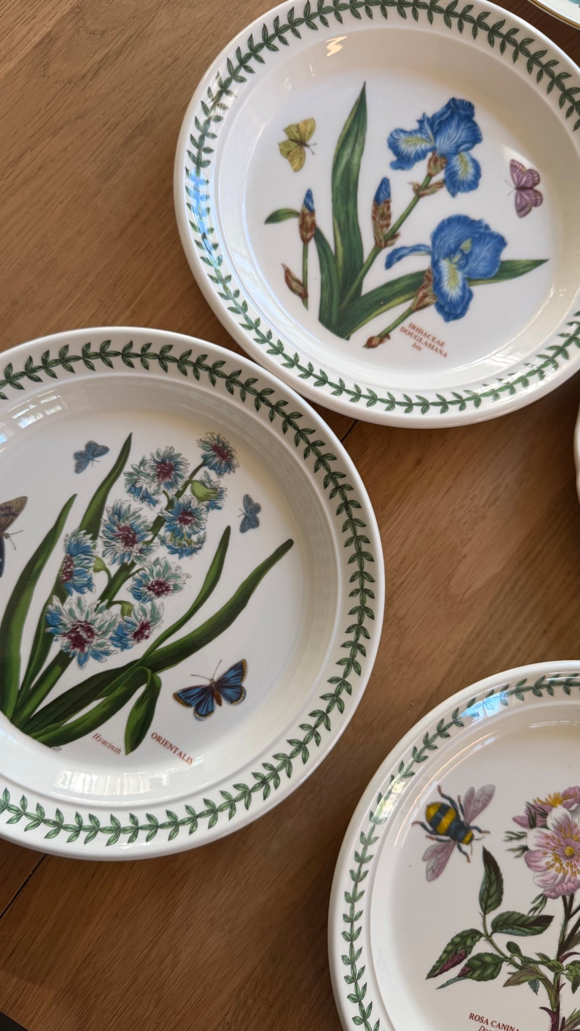 Our everyday dinner plates!!! 

#LTKHome