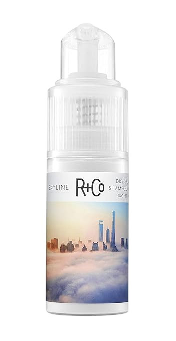 R+Co Skyline Dry Shampoo Powder | Intense Oil Absorption | Revives Volume, Hair Texture and Grip ... | Amazon (US)