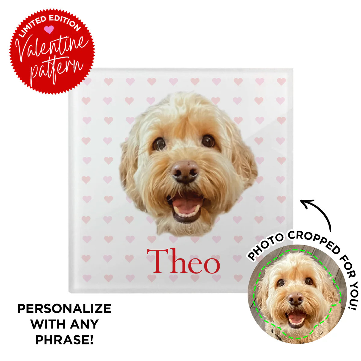 Personalized Valentine Pet Coaster | Type League Press