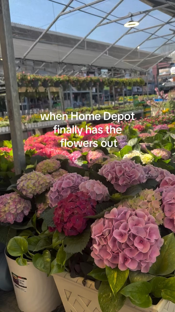 Give me all the Spring dopamine 💗🍃🌺✨ 
.
.
.
#spring #springhassprung #garden #flowers #homedepot #frontporch #porchdecor #springrefresh #gardening

#LTKdayinmylife #LTKmomlife #LTKSeasonal