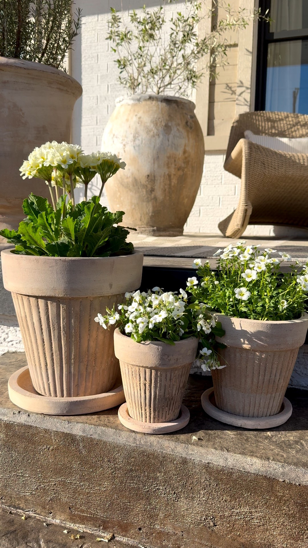 New terracotta aged looking planters for spring from Mcgee & Co. I have all 3 sizes. I love these so much I ordered some more for my garden area to grow herbs in this summer! My large pot in the back is a vintage grain pot and I linked several other similar. They are a splurge but I love the unique character it adds to my front porch year round! 

#LTKSeasonal #LTKHome