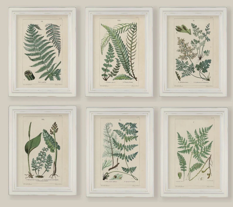 Set of 6 Botanical Fern Prints Gallery Wall 5x7 or A4 | Etsy | Etsy (US)