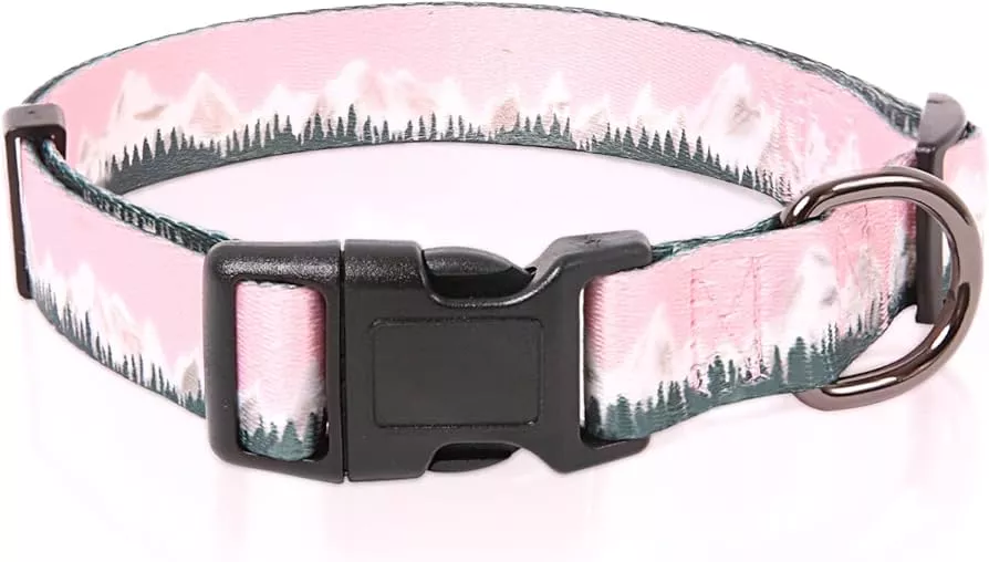  Timos Dog Collar for Small Medium Large Dogs