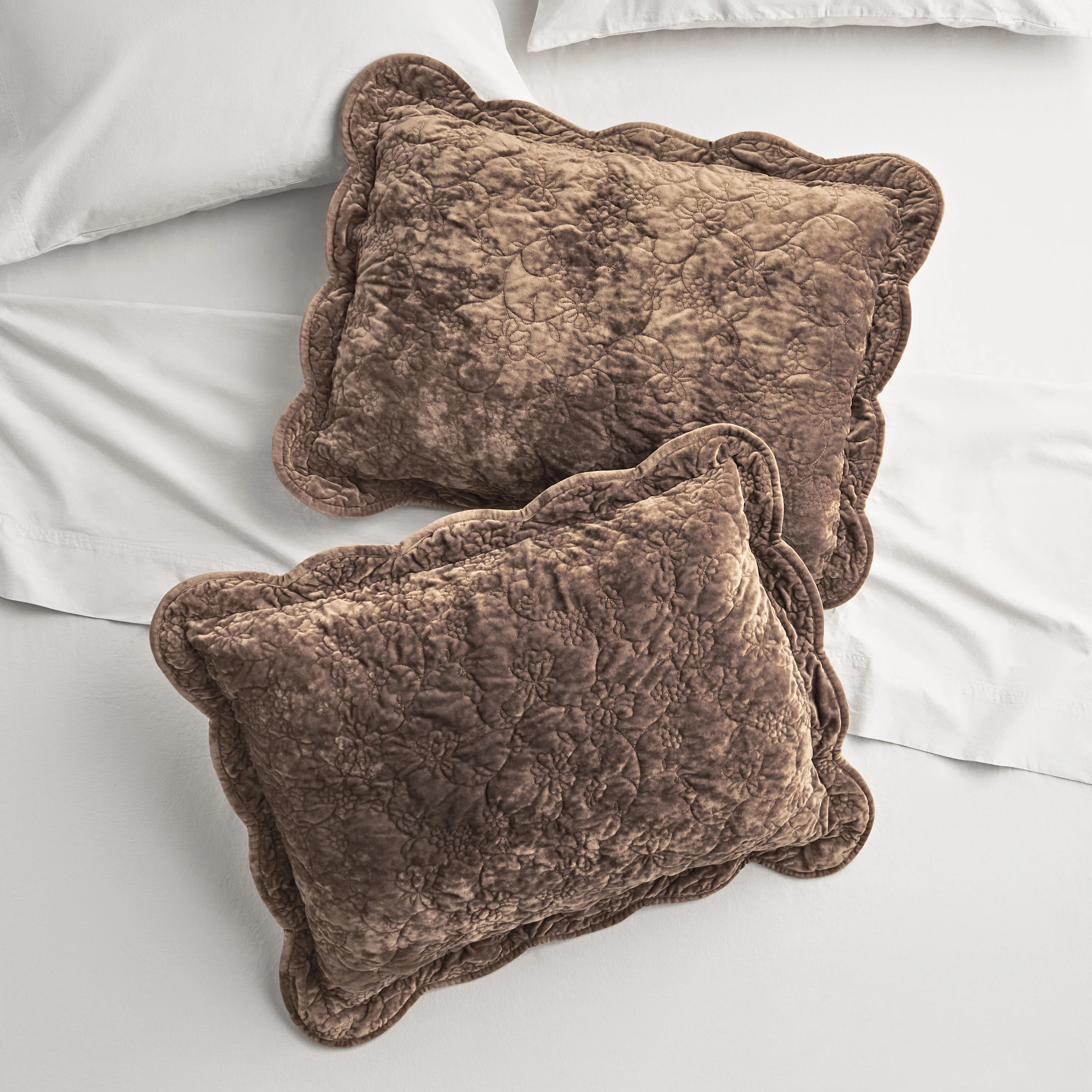 The Pioneer Woman Eloise Floral Velvet Pillow Shams, Standard, Blue Dust, 2 Pack | Walmart (US)