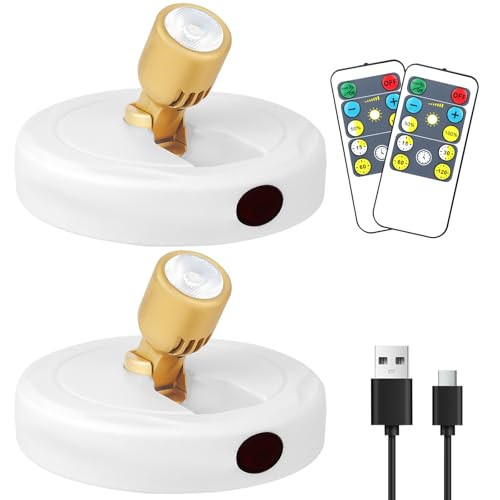 KANESIKI Rechargeable Spotlight, Battery Operated Picture Lights with Remote, Cordless Plant Spot Light Indoor, LED Accent Lighting, Dimmable Uplight for Tree Painting Artwork Photo Dartboard Decor | Amazon (US)