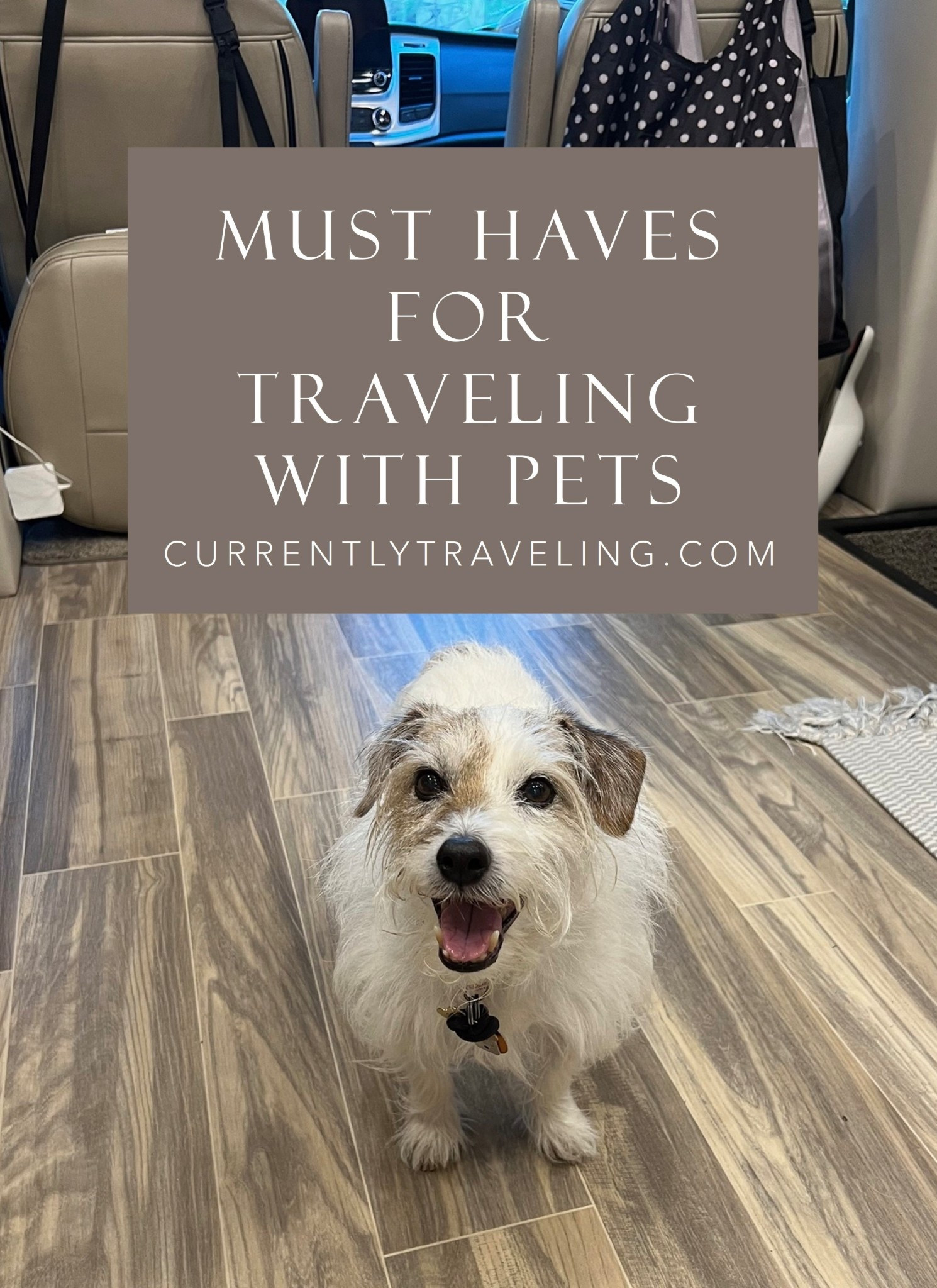 All the things we use when traveling with our senior dog in our car, boat and RV. 
Dog crate
Gift for dog lovers 
Dog car seat
Dog harness
Dog bowl 
Folding crate for dog
Dog gps
Dog monitor 
Pet stroller 
Dog stroller 
Dog camera 
Dog first aid 
Pet care
Dog food container 
Dog leash 
Dog travel supplies 
Snoozer dog car seat
Temperature sensor for RV
Dog bed



#LTKSeasonal #LTKHome #LTKTravel