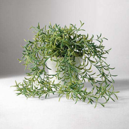 Faux Potted Drippy Plant | West Elm (US)