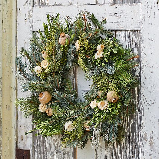 Fresh Noble Fir + Boxwood Wreath | Terrain