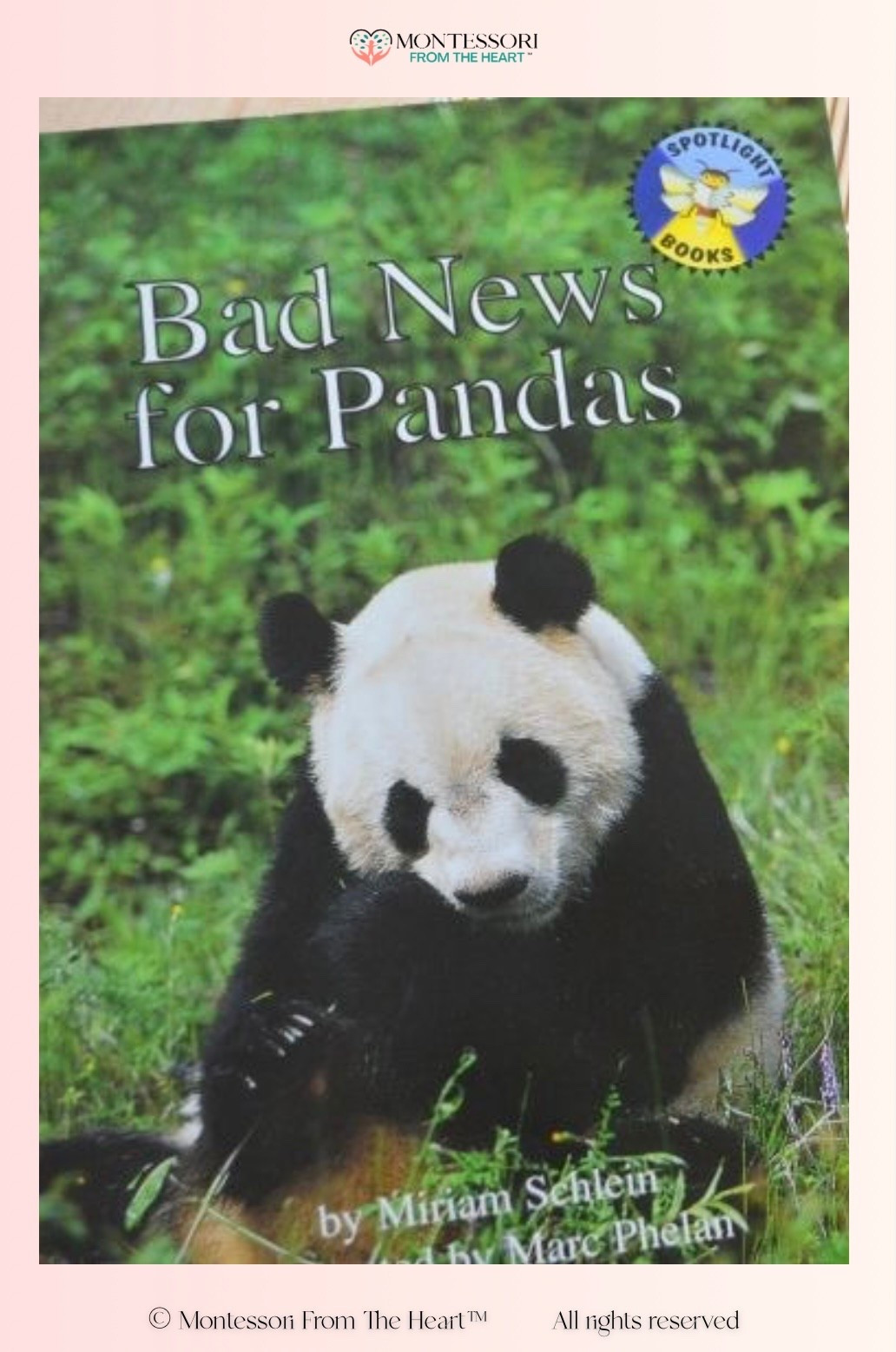 Bad News for Pandas

#LTKKids #LTKstorytime #LTKHome
