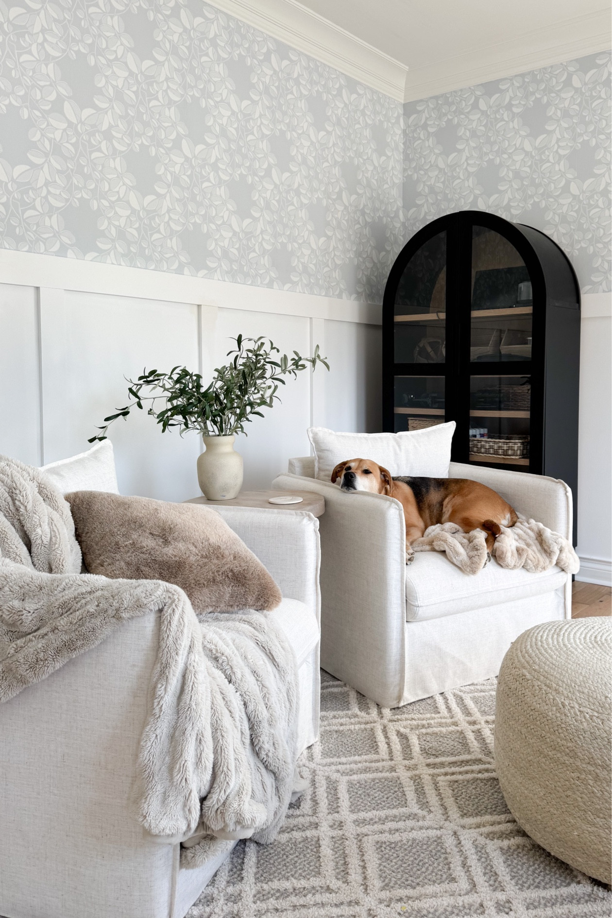 Lucy in her element 🖤 

#LTKHome