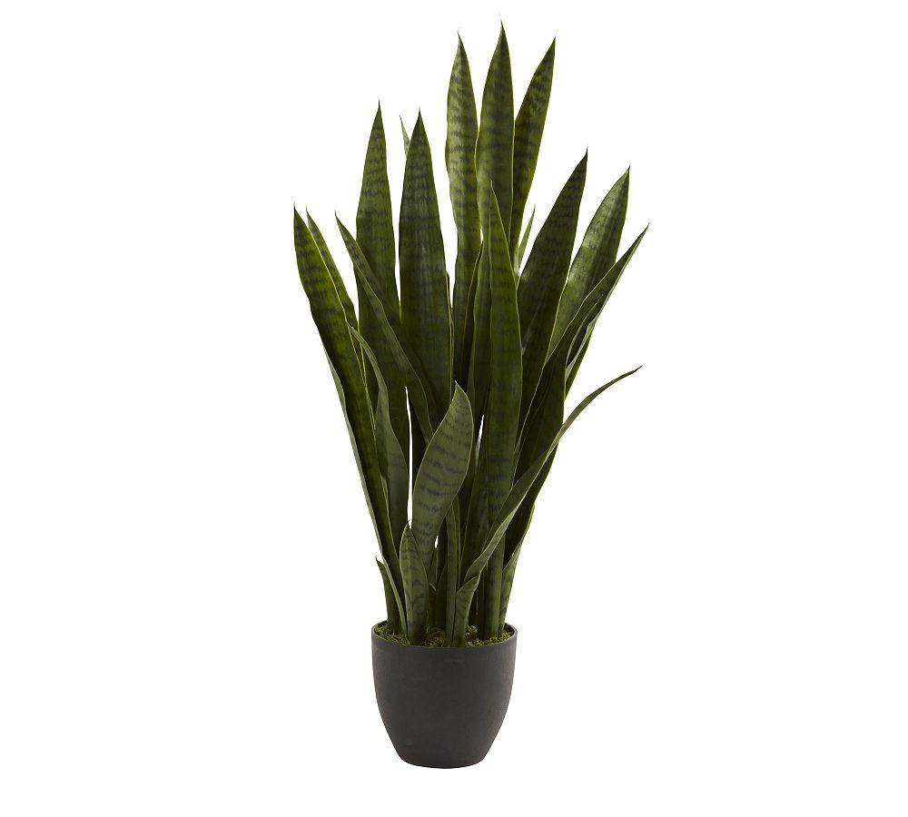 Faux Sansevieria | Pottery Barn (US)