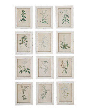 NAPA HOME AND GARDEN
Set Of 12 Wild Flower Botanical Print Gallery
$249.99  Compare At $320 
help
 | TJ Maxx