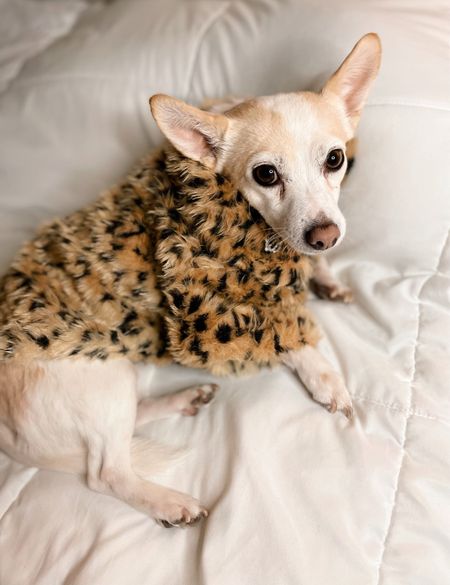 Leopard Faux Fur Pet Coat #luxury #furcoat #LTKpet 

#LTKfamily #LTKSeasonal #LTKfindsunder50