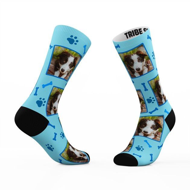 TRIBE SOCKS Personalized Pet Face Socks, Dog Paw - Chewy.com | Chewy.com