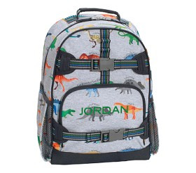 Mackenzie Finn Dino Backpacks | Pottery Barn Kids