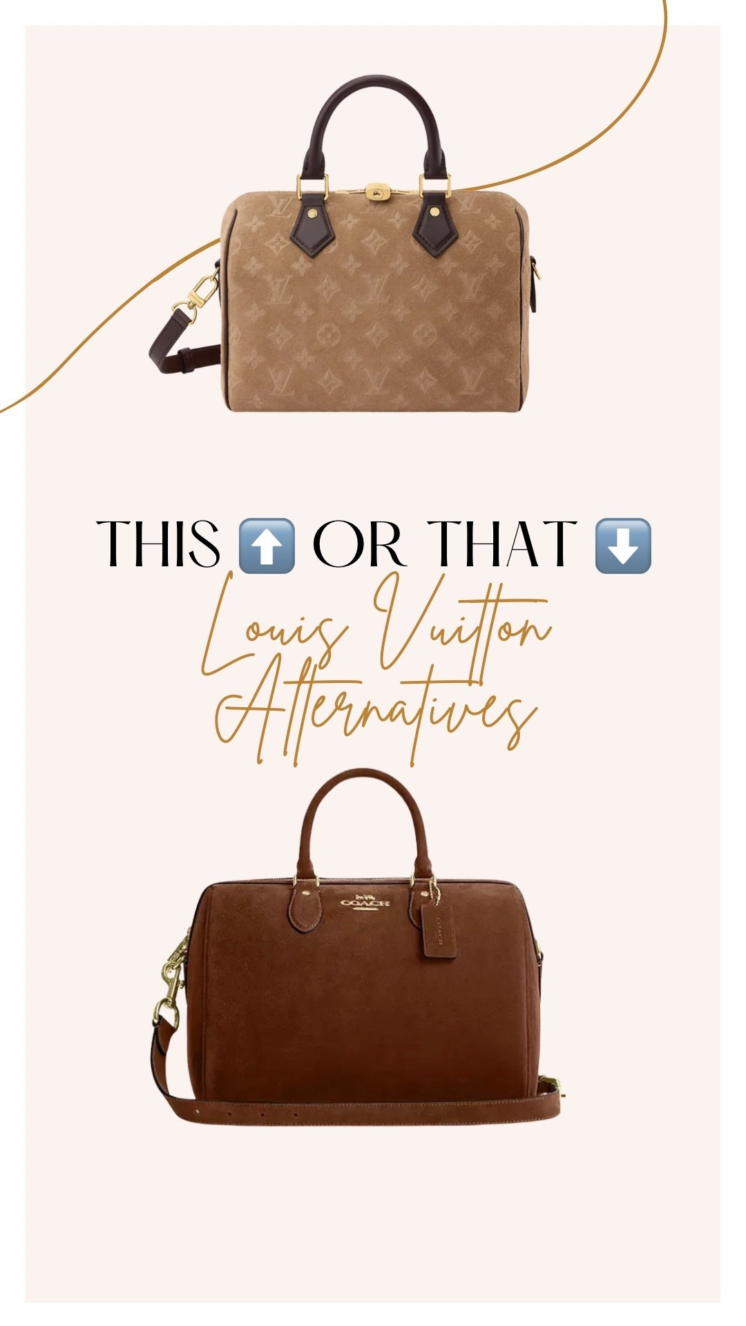 This or that, should you buy the suede Louis Vuitton Speedy for $3,100 or the Coach Outlet Rowan $249?