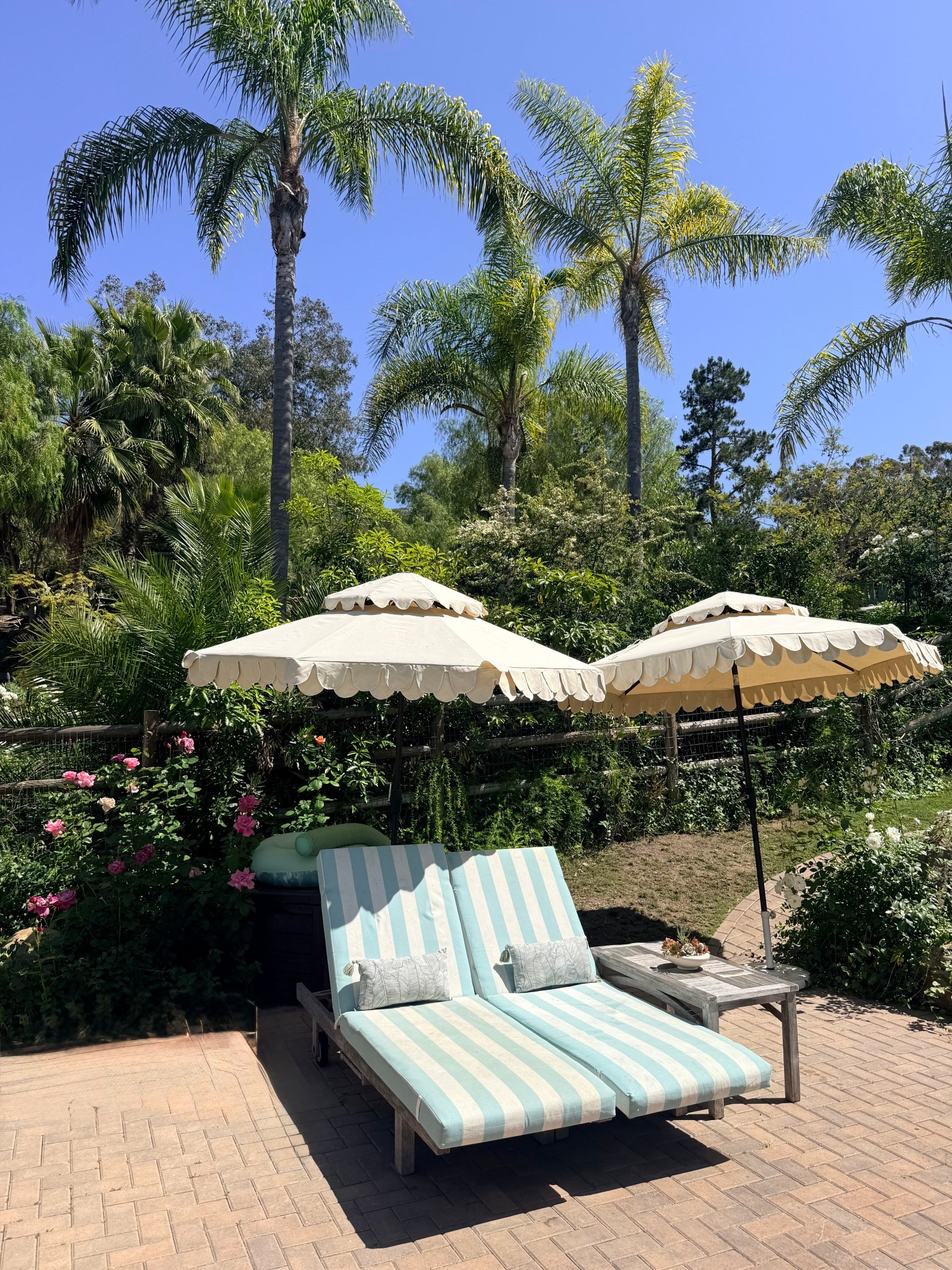 These comfortable and stylish chaise lounge cushions add so much to my patio decor! 🩵

Shop the look,l including the chaise lounge cushions, pots, patio umbrellas, and artificial flowers. 🩵

I’ve also linked our firepit, cute outdoor lanterns, Adirondack chairs, and the outdoor side table. 🩵

#loungechairs #outdoorsofa #outdoortable #outdoorfurniture #marneystidbits 

#LTKSaleAlert #LTKHome #LTKdayinmylife