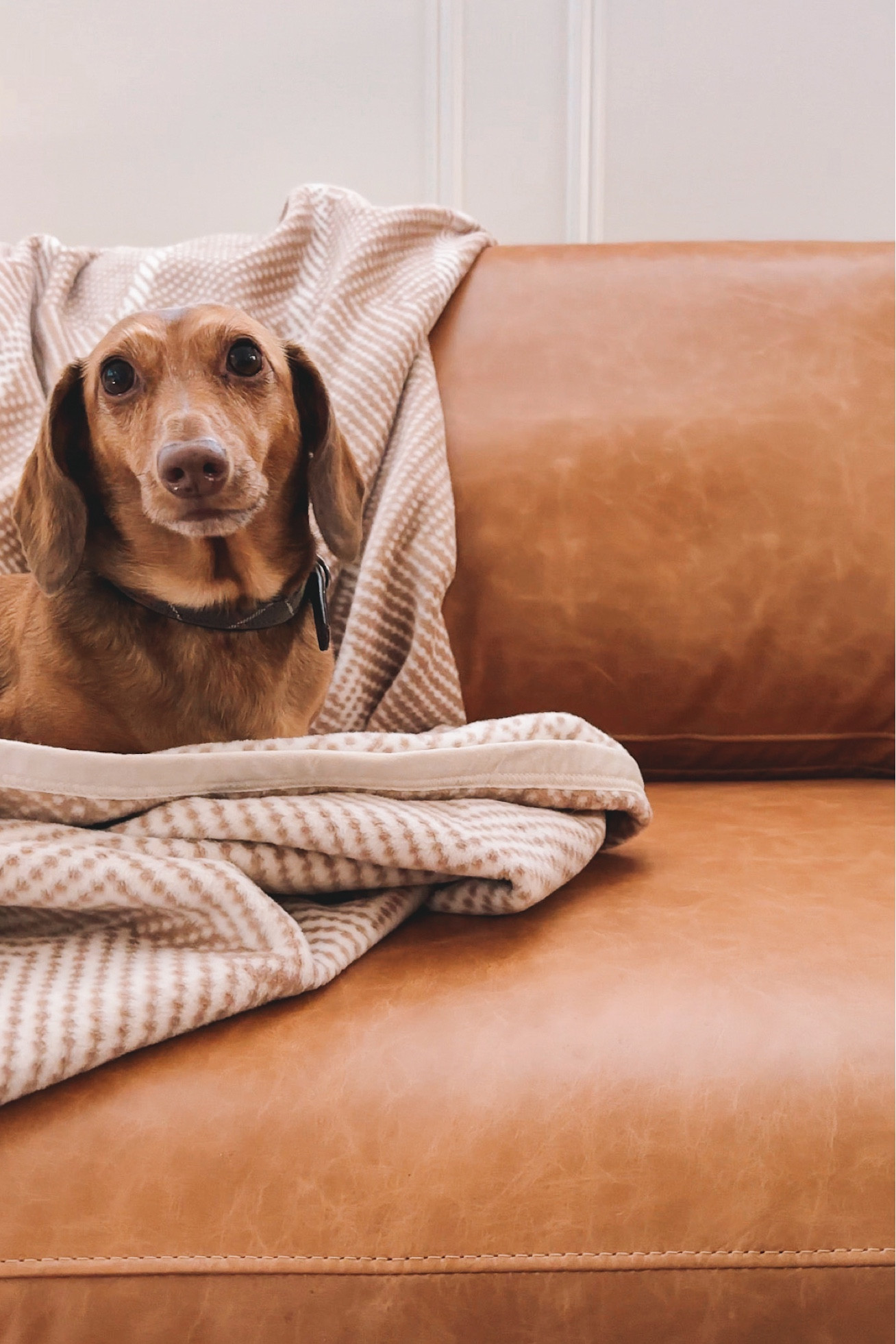 Snuggly noodle in her favorite chappywrap