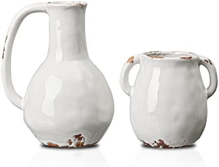 TERESA'S COLLECTIONS White Ceramic Vase for Home Decor, Set of 2 Rustic Decorative Vases for Pamp... | Amazon (US)