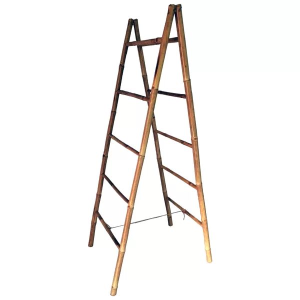 5 ft Blanket Ladder | Wayfair North America