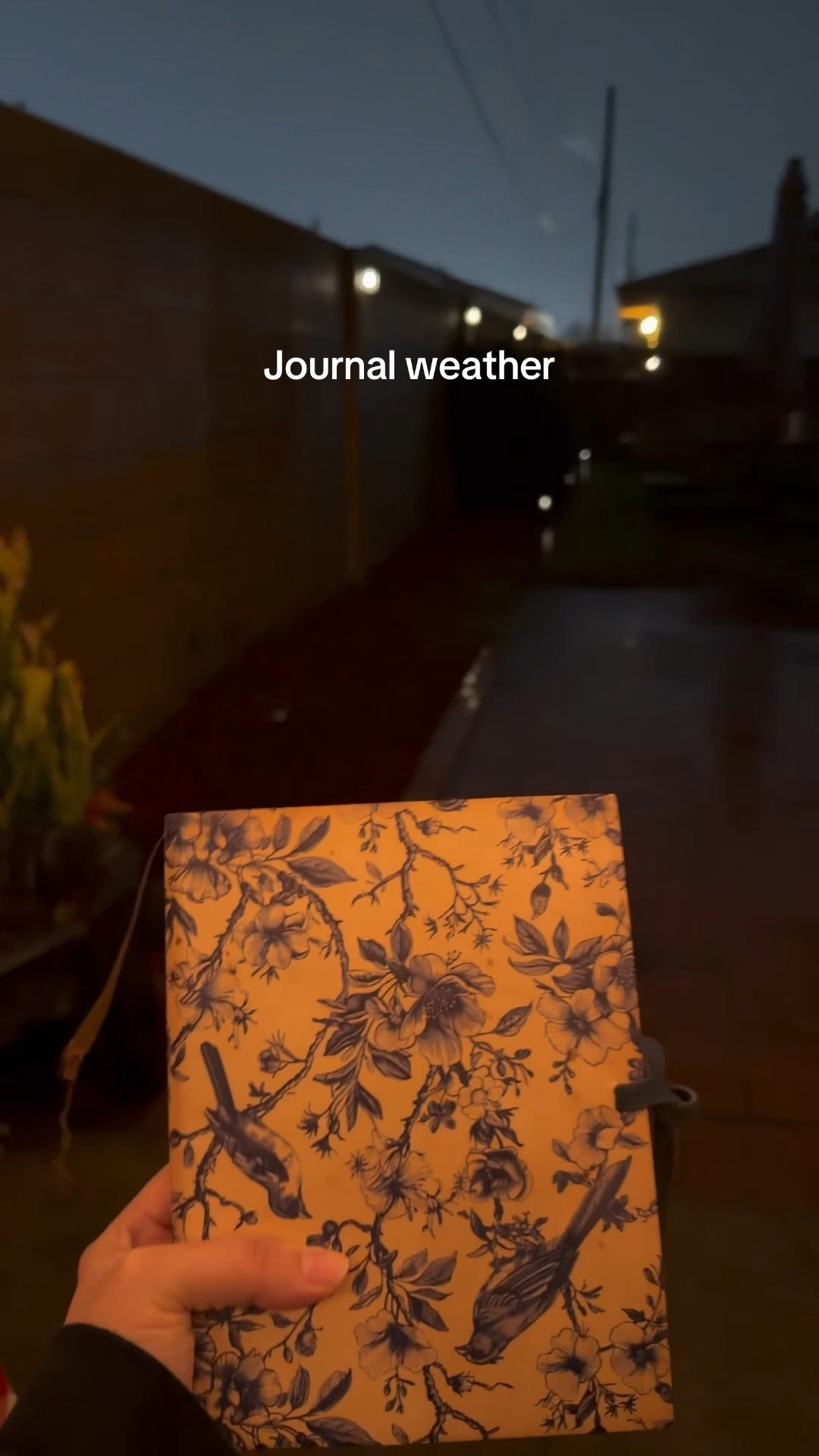 Who needs an ambiance video when it’s raining outside?🫶

#LTKmorningroutine #LTKselfcare #LTKGiftGuide