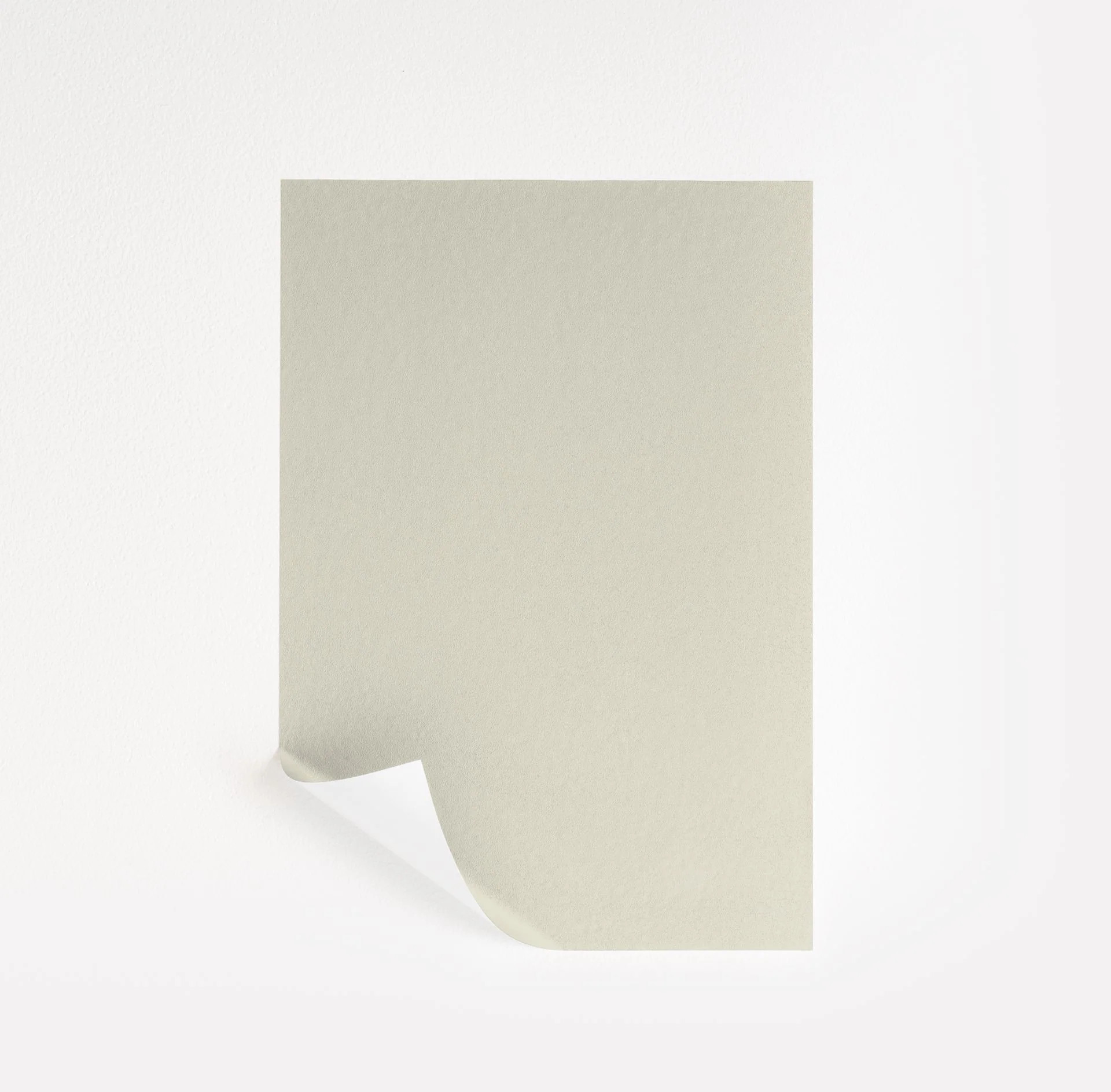 French Canvas Paint Sample by Benjamin Moore (1514) | Peel & Stick Paint Sample | Samplize