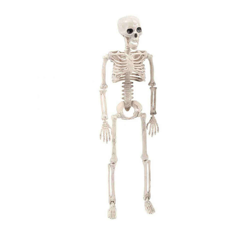 Asashitenel 1Pcs Halloween Prop Human Skeleton, Party Decoration 16"x5" | Walmart (US)