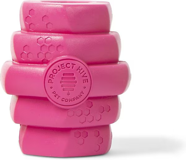 Project Hive Pet Company Hive Wild Berry Aroma Scented Chew Dog Toy, Large, Pink | Chewy.com