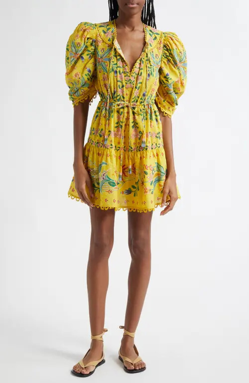 FARM Rio Delicate Flowers Cotton Minidress in Yellow at Nordstrom, Size Xx-Small | Nordstrom